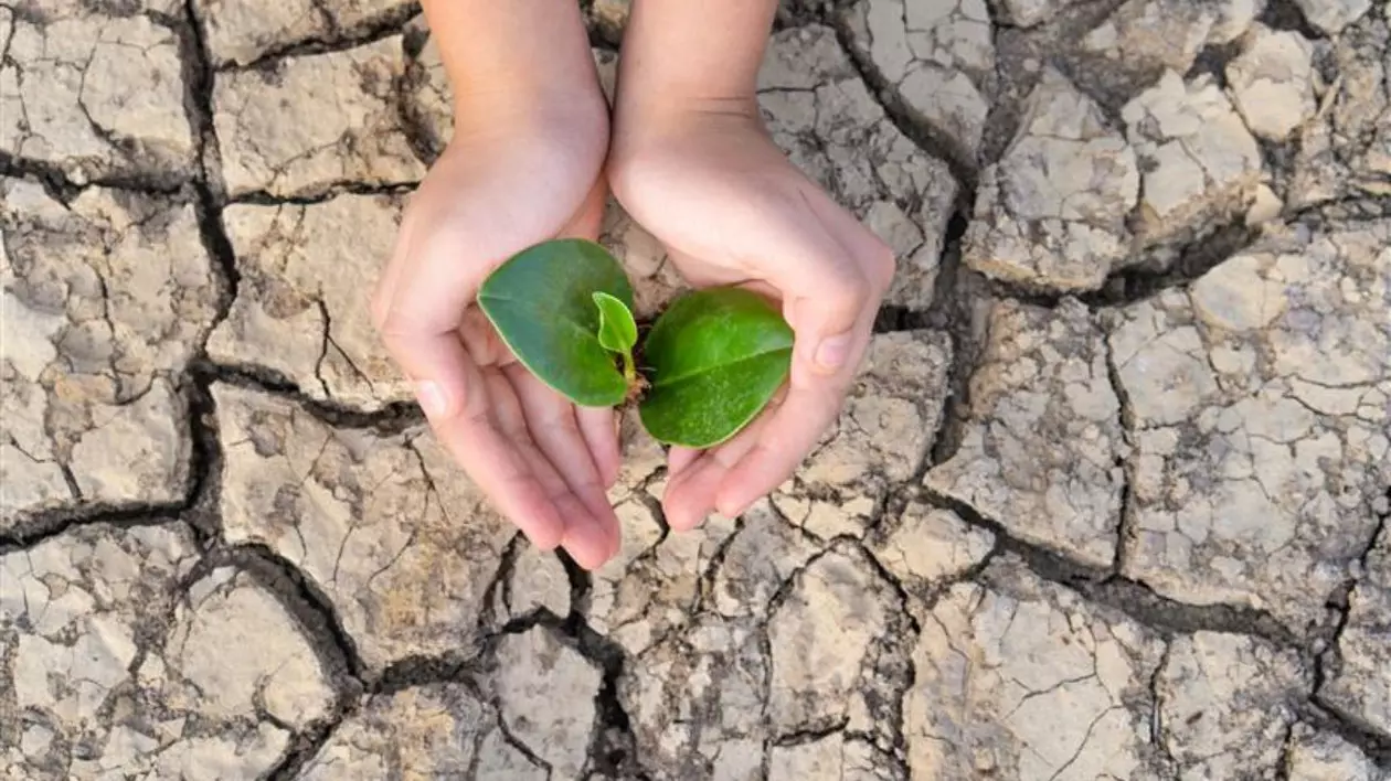 Imagine ilustrativă ziua pământului, două mâini care țin o plantă cu frunze verzi, dedesubt un pământ uscat, crăpat