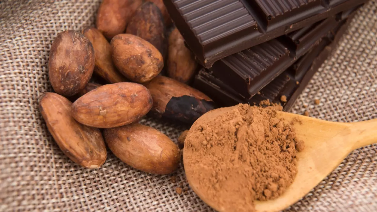 În imagine sunt ilustrate boabe de cacao, o ciocolată neagră și o lingură pe care este cacao măcinat