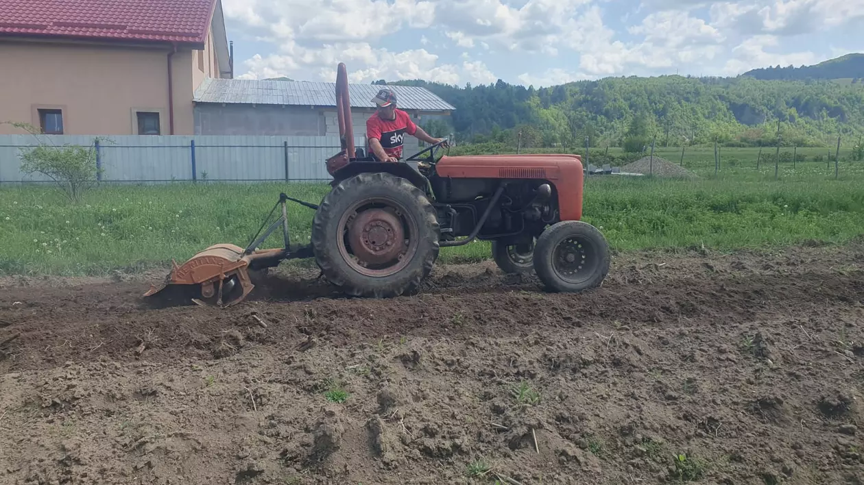 Florin, tatăl vicecampioanei olimpice la haltere Mihaela Cambei, este paznic la o firmă din Onești, apoi lucrează pe tractor: „Să muncești nu e o rușine”