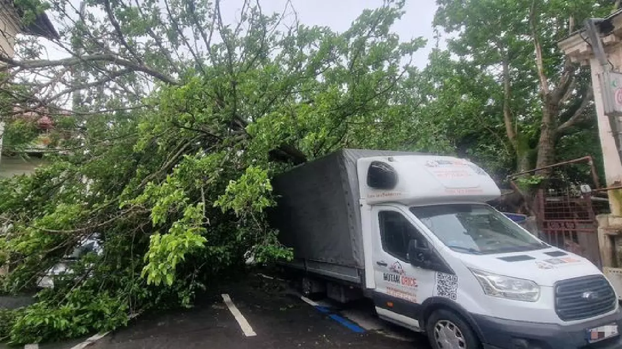 un copac este căzut peste o mașină albă