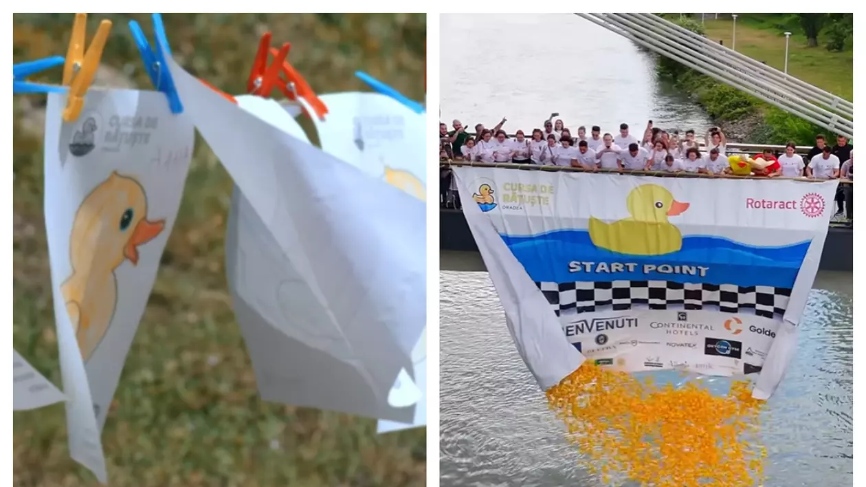 În partea stângă sunt ilustrate rățuște desenate pe foaie, atârnate cu cleme de rufe pe o sfoară, iar în partea dreaptă este momentul principal al evenimentului – lansarea rățuștelor de cauciuc într-un râu de pe un pod