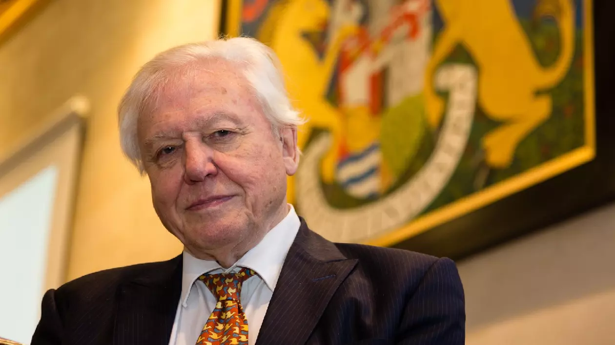 David Attenborough, unul dintre cei mai iubiți naturaliști, avertisment la aproape 100 de ani: „Doar dacă salvăm oceanele, ne salvăm planeta”