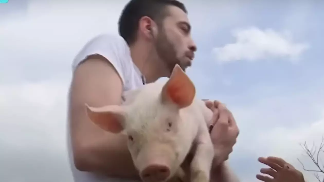 David Pușcaș a dat probe de angajare la o fermă. Când a văzut purceii, a început să urle: „Am crezut că mă mușcă de picioare”