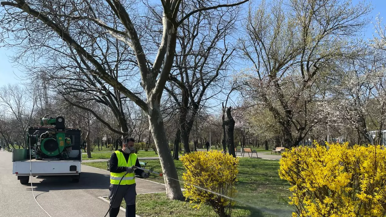 Cum se curăță Bucureștiul de căpușe. Biolog: „Pulverizăm cu atomizoare și din mașini special echipate”