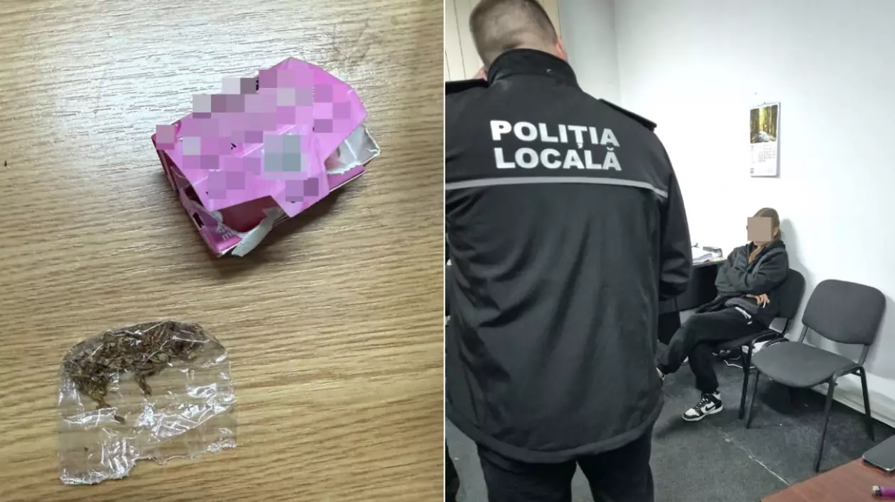 Colaj cu fotografii oferite de Politie, in stanga droguri găsite asupra unor tineri, in dreapta un politist cu spatele discutand cu o tânără cu fata acoperita, care sta pe scaun