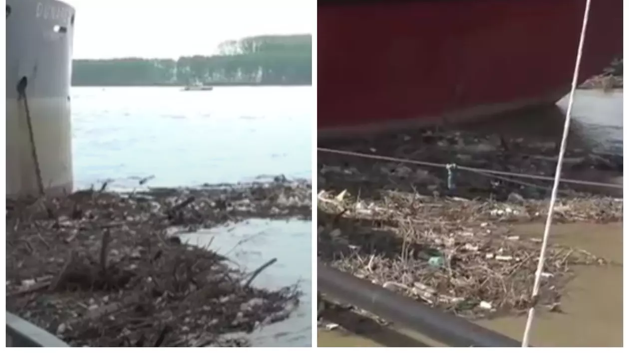 În imagine sunt ilustrate gunoaie și crengi care au fost aduse de viituri la mal