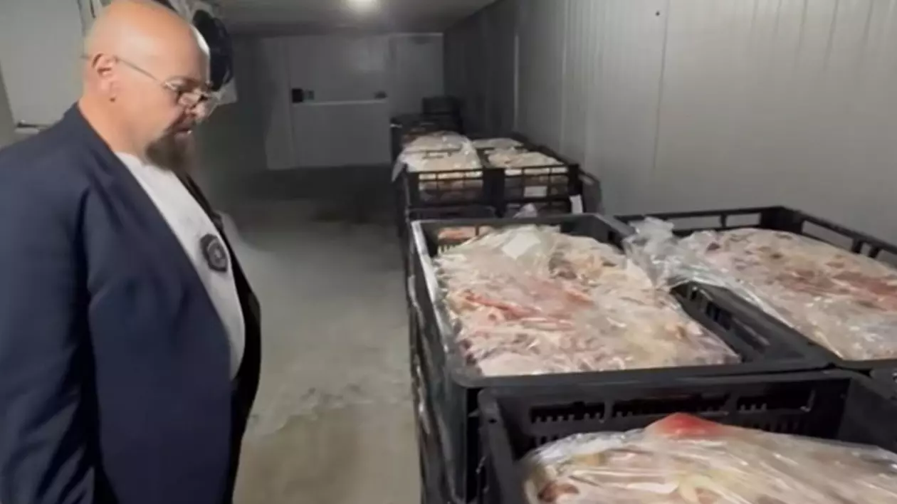 O tonă și jumătate de carne expirată urma să ajungă în shaormerii. Piedone a închis o fabrică de lângă Capitală