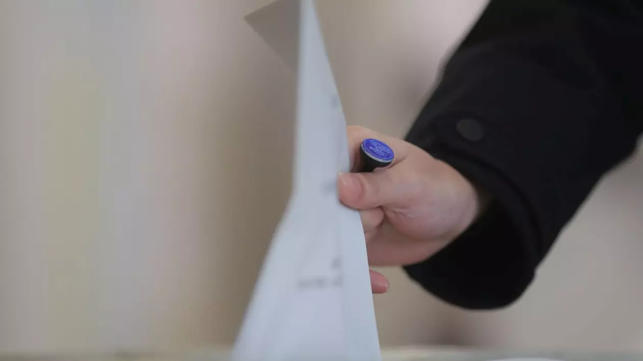Alegerile prezidențiale, turul 2: Țările din diaspora cu cea mai mare prezență la vot