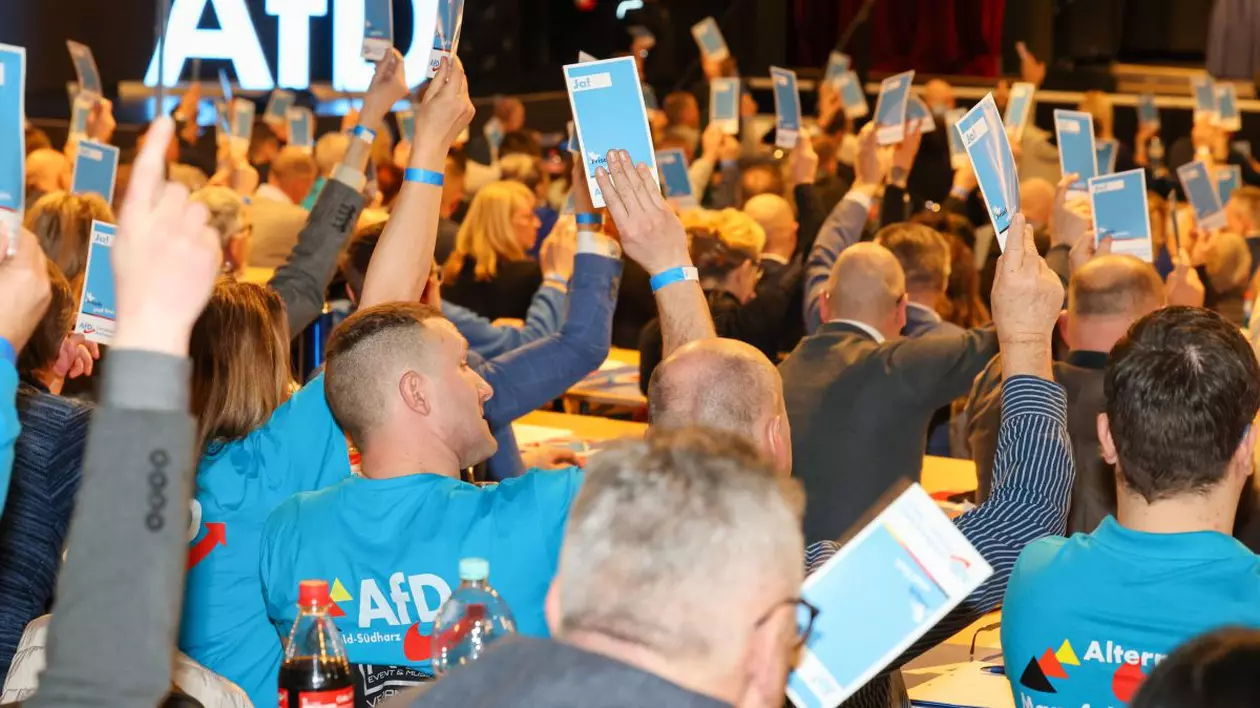 Delegați votează la conferința partidului Alternativa pentru Germania (AfD) din landul Saxony-Anhalt
