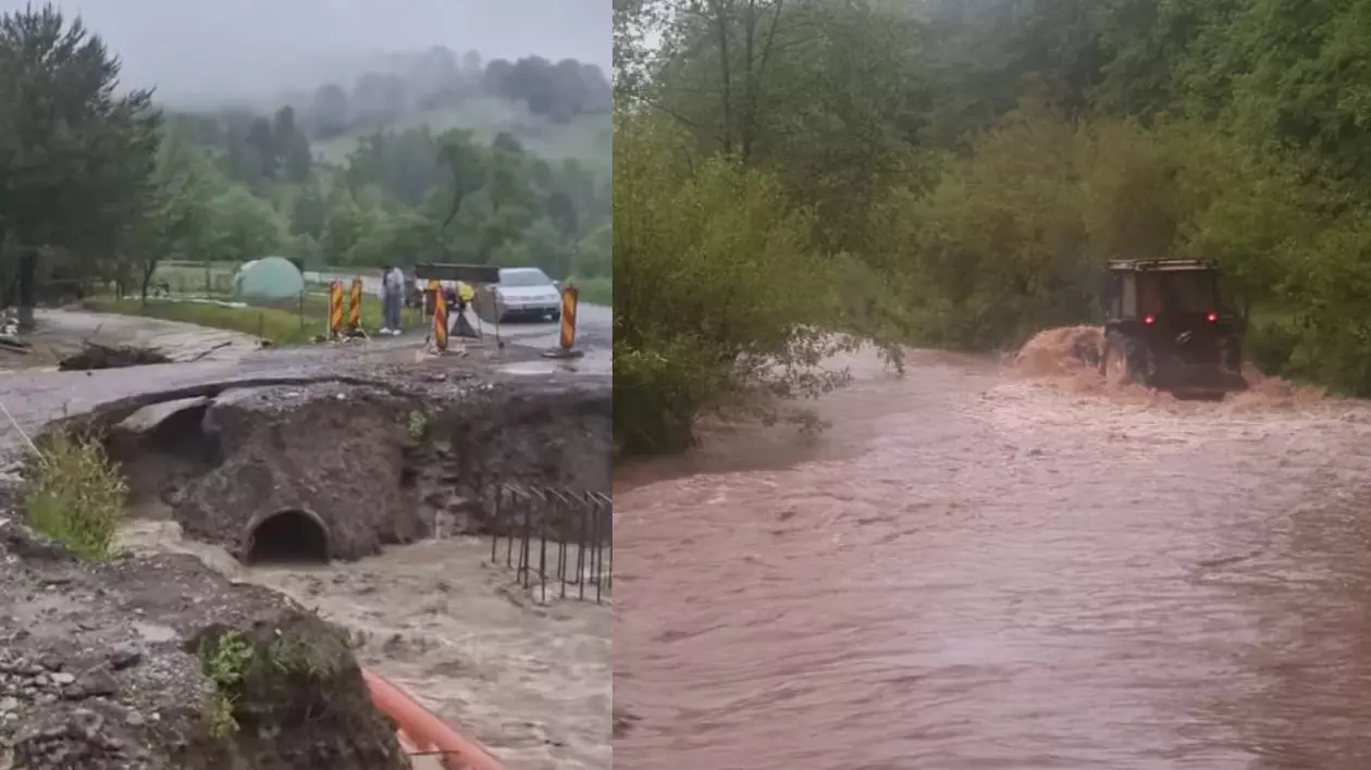 Ape murdare pe străzile din Covasna