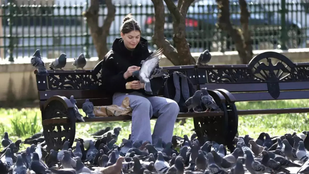 În imagine este ilustrată o fată care stă pe o bancă, în parc. Lângă aceasta se află mai mulți porumbei