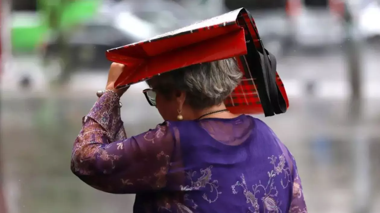 În imagine este ilustrată o femeie care se acoperă de ploaie cu o plasă.