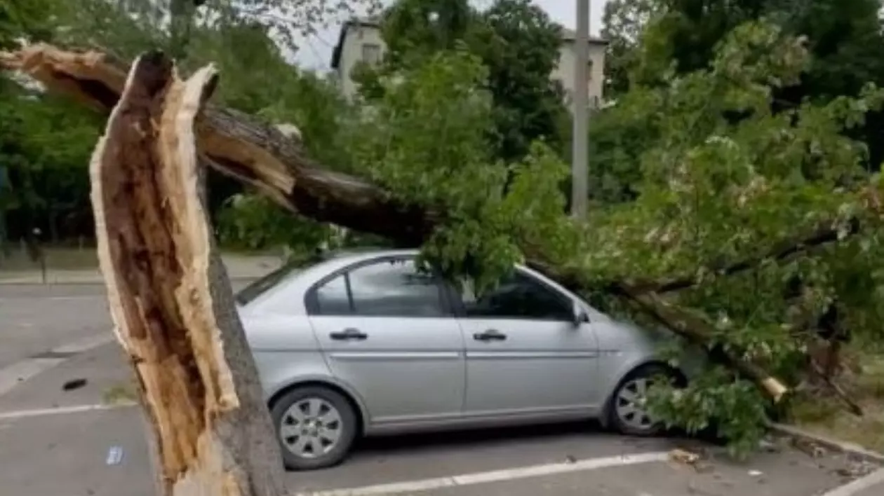 Furia unei furtuni a doborât copaci, inclusiv peste o mașină, în Oradea. O clădire centrală a rămas fără tencuială
