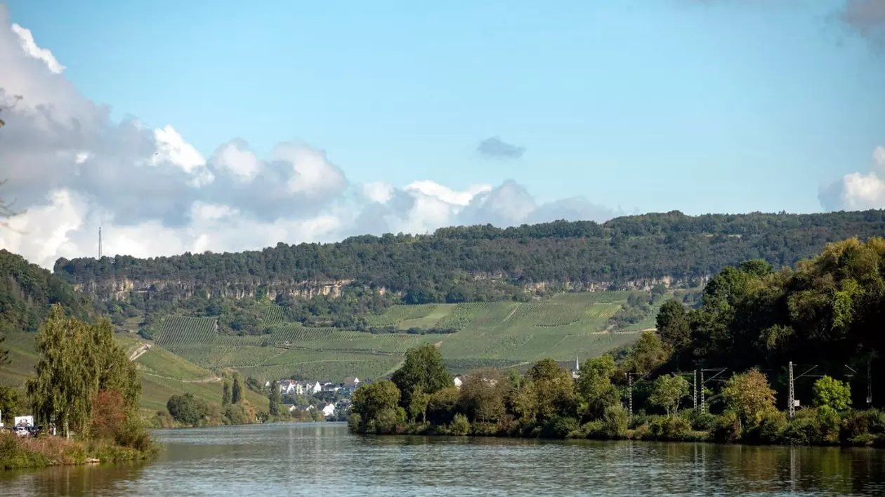 Drum deschis până la podgoriile rustice din Luxemburg: transportul public este gratuit pentru toată lumea, inclusiv pentru turiști