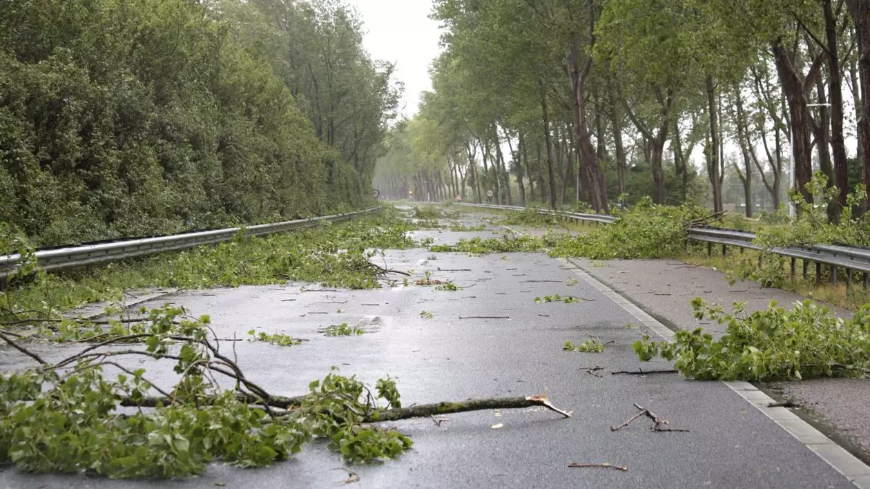 Vremea se răcește accentuat în toată țara și va fi lapoviță la munte. Cât ține codul galben de ploi torențiale, vijelii și grindină