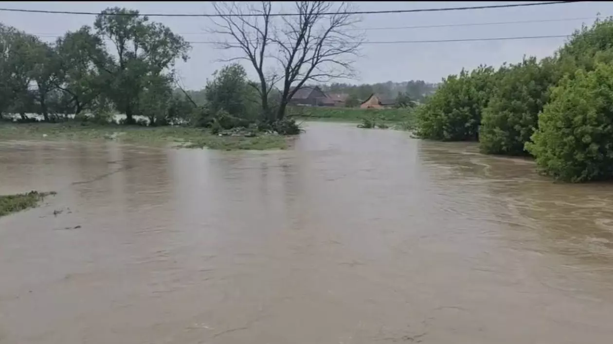 Un râu din România, din județul Covasna, care și-a ieșit din matcă și a inundat pădurea aflată pe malul lui.
