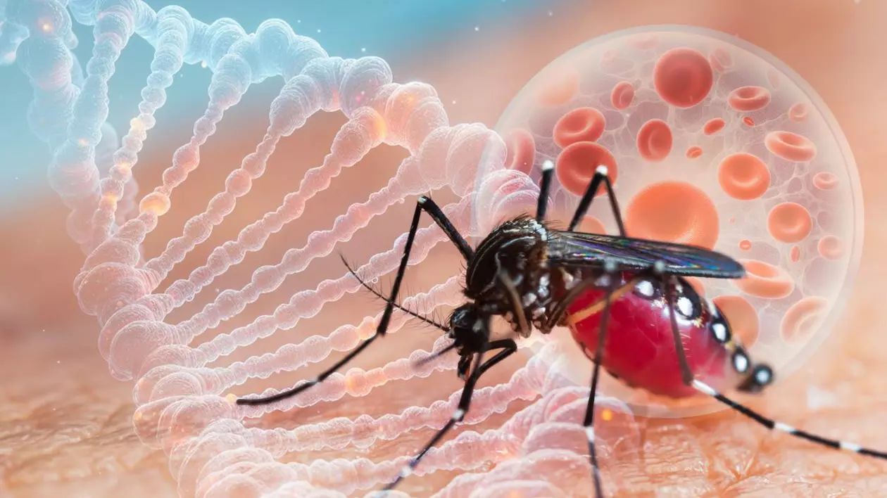 Bolile tropicale dengue și chikungunya se răspândesc alarmant în Europa. Specialist: „Țânțarii tigru migrează spre nord din cauza schimbărilor climatice”