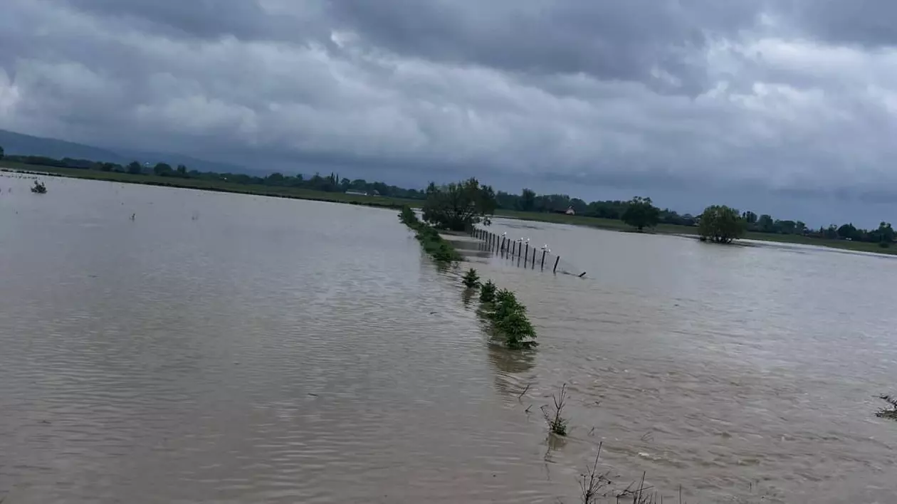 Terenurile agricole inundate în județul Covasna.