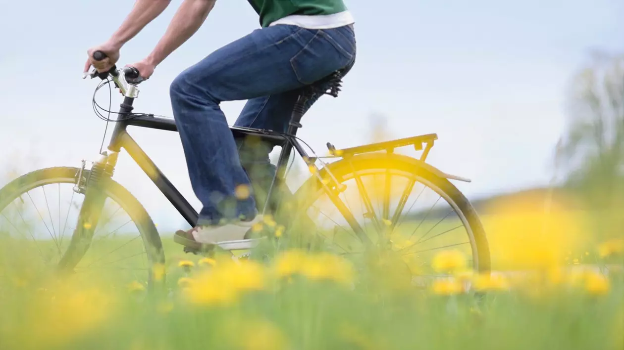 Imagine cu un bărbat pe bicicletă, pe un câmp