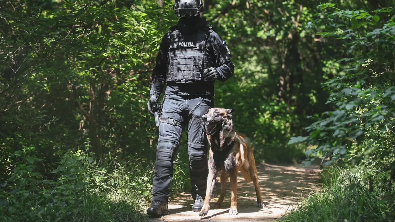 Un polițist de la Serviciul Acțiuni Speciale, îmbrăcat în uniformă și cu cagulă, într-o potecă din pădure, cu un câine polițist care stă lângă piciorul lui