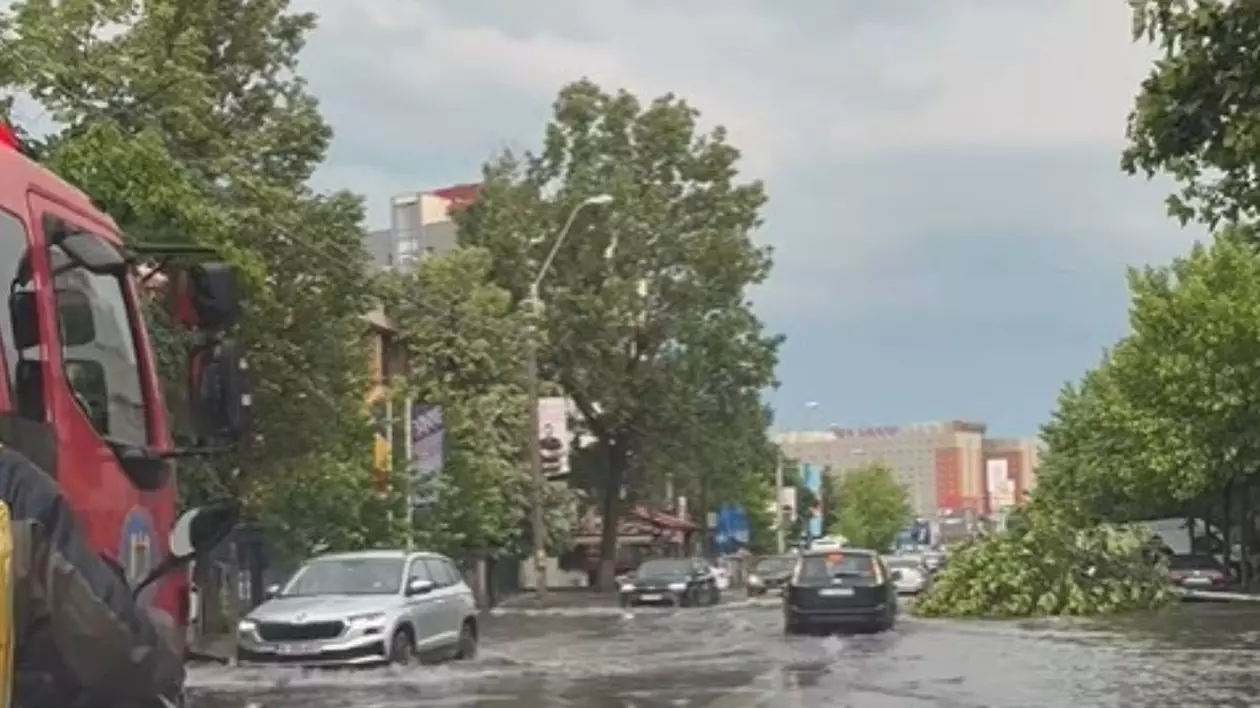 Un copac căzut în mijlocul șoselei în zona Vitan Bârzești din București.