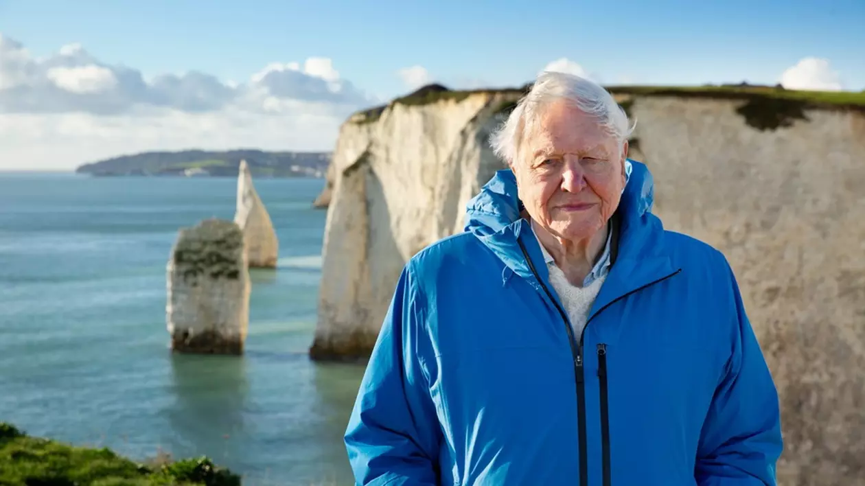 David Attenborough într-o geacă albastră, cu un peisaj marin în spate.