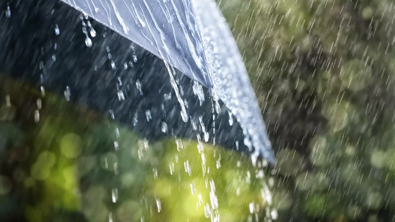 În imagine este ilustrată o umbrelă neagră, deschisă în timp ce plouă