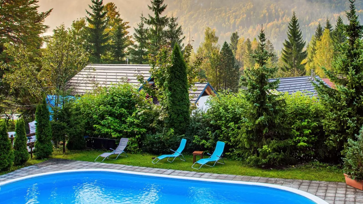 În imagine este ilustrată o piscină la munte. În jur se văd șezlonguri, brazi și copaci.