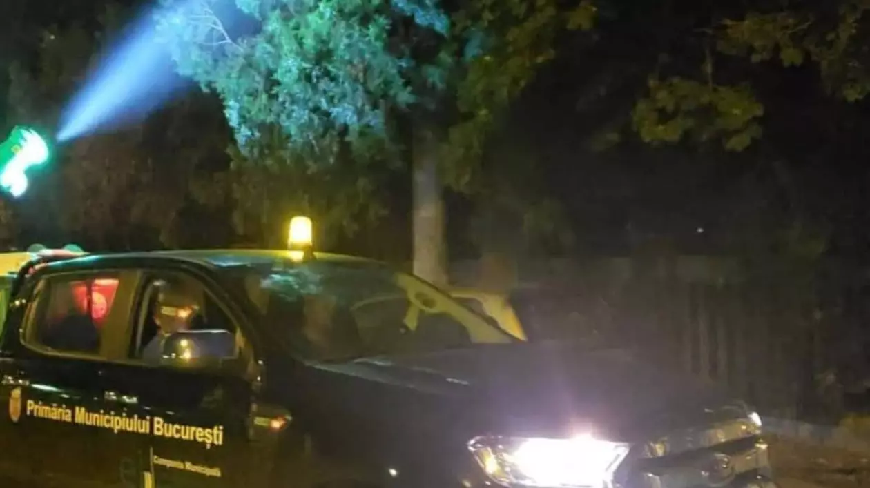 Mașina de la Primăria București care dă cu biocid în copacii din Capitală pentru a preveni țânțarii și căpușele.