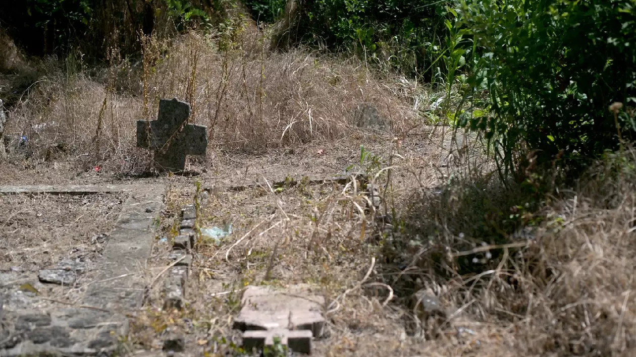 Colțul cimitirului Kisiljevo unde a fost îngropat presupusul vampir, se observă o cruce neagră, simplă și multă vegetație uscată
