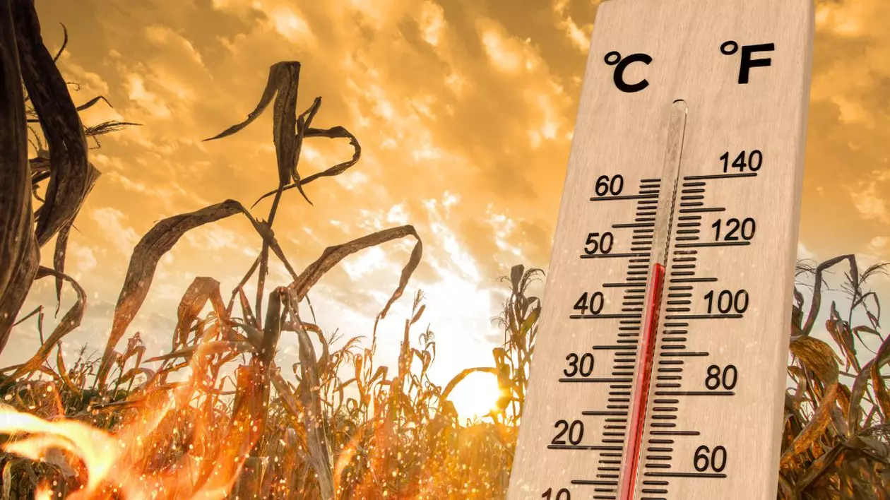Imagine creativă cu un termometru care indică aproape 50 de grade Celsius, pe fundal un lan de porumb, cu un cer roșu, și flăcări care indică un val de căldură și caniculă