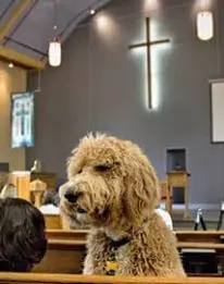 50887935_2556527057755687_4437877629785210880_n