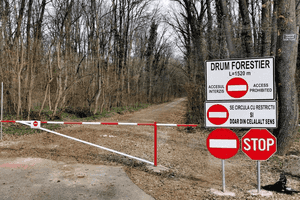 Războiul din Pădurea Băneasa ia amploare. 6.000 de oameni, captivi între un dezvoltator care nu se ține de cuvânt și ecologiști