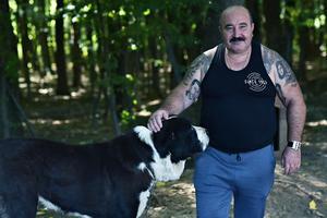 Cum arată vila lui Nuțu Cămătaru din Ferentari. Imagini cu proprietatea unde cresc canguri, cămile și cai de competiție