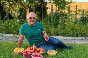 Cum arată grădina de la Cluj a lui Emil Boc. Imagini impresionante cu recolta lui de roșii
