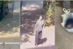 Momentul în care o mamă îşi aruncă bebeluşul la gunoi, surprins de camerele de supraveghere, în Rusia