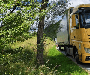 Un șofer român de TIR a aruncat 50 de euro în mașina unor polițiști bulgari și a fost imediat arestat. Reținerea, prelungită apoi încă 72 de ore