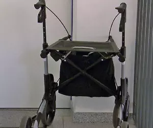 Un bărbat care simula că merge cu un cadru și că are incontinență urinară a fraudat statul cu 370.000 de euro, în Austria