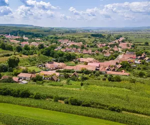 Zona de lângă Arad unde o casă cu 3000 mp costă 25.000 de euro