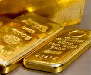 Un bărbat a găsit 10 lingouri de aur în timp ce tundea iarba, în Germania. Ce se întâmplă cu comoara