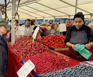 Cât costă un kilogram de căpșuni românești în piață? Unde sunt cele mai mari cozi