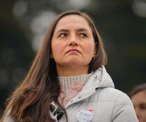 POT se destramă: partidul condus de Anamaria Gavrilă a rămas fără grup parlamentar și în Camera Deputaților