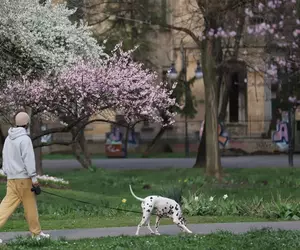 Vremea în perioada 27 aprilie - 24 mai 2026. Temperaturi mai mici decât cele normale și ploi abundente, urmate de o încălzire a vremii