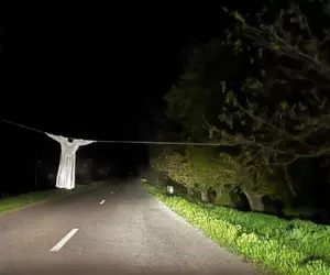 Șoferii, puși în pericol de o „sperietoare” pe DJ 303, în Călărași: „Acolo leșinam!”