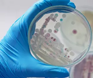 Alertă sanitară pe litoralul european: încălzirea apei mării aduce o bacterie periculoasă aproape de plaje