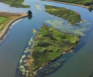 O insulă privată de peste două hectare, scoasă la vânzare pentru doar 39.000 de dolari, în California