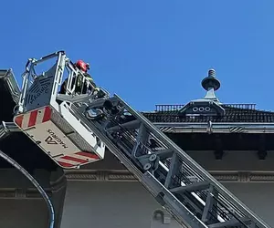 Pisică salvată cu autoscara de pe clădirea Prefecturii Dolj din Craiova. Anunțul transmis de ISU