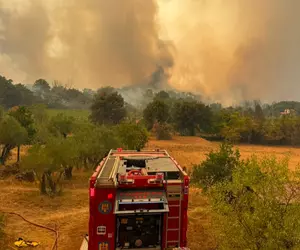 Avertisment IGSU privind incendiile de vegetație: Regulile pe care toți cetățenii trebuie să le respecte pe timp de caniculă