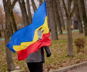 Auziți balastierele găinarilor cum încarcă la cutiile de pantofi?