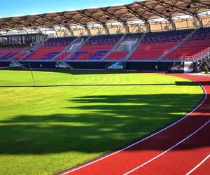 FCSB - UTA Arad, duel la Târgoviște în etapa 7-a din Superliga. Echipele probabile
